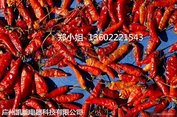 干燥设备 辣椒烘干机 烘干机厂家直销 广州金凯烘干机全国招商